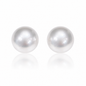 11mm Round Australian White Southsea Pearl Earring Studs - 18KT White Gold