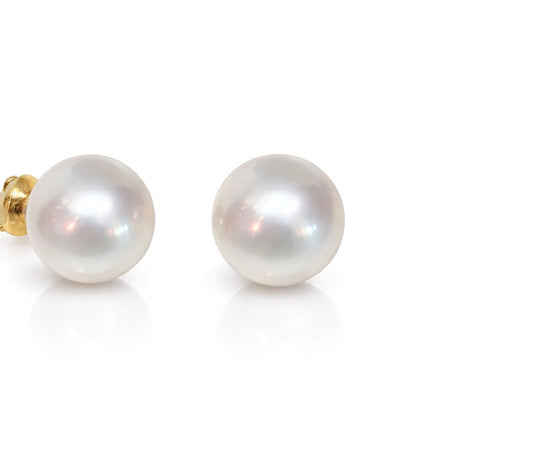 12mm High-Button White South Sea Pearl Studs - 18KT Yellow Gold