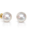 12mm High-Button White South Sea Pearl Studs - 18KT Yellow Gold