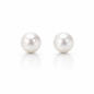 12mm High Button Australian South Sea Pearl Earring Studs - 18KT Yellow Gold